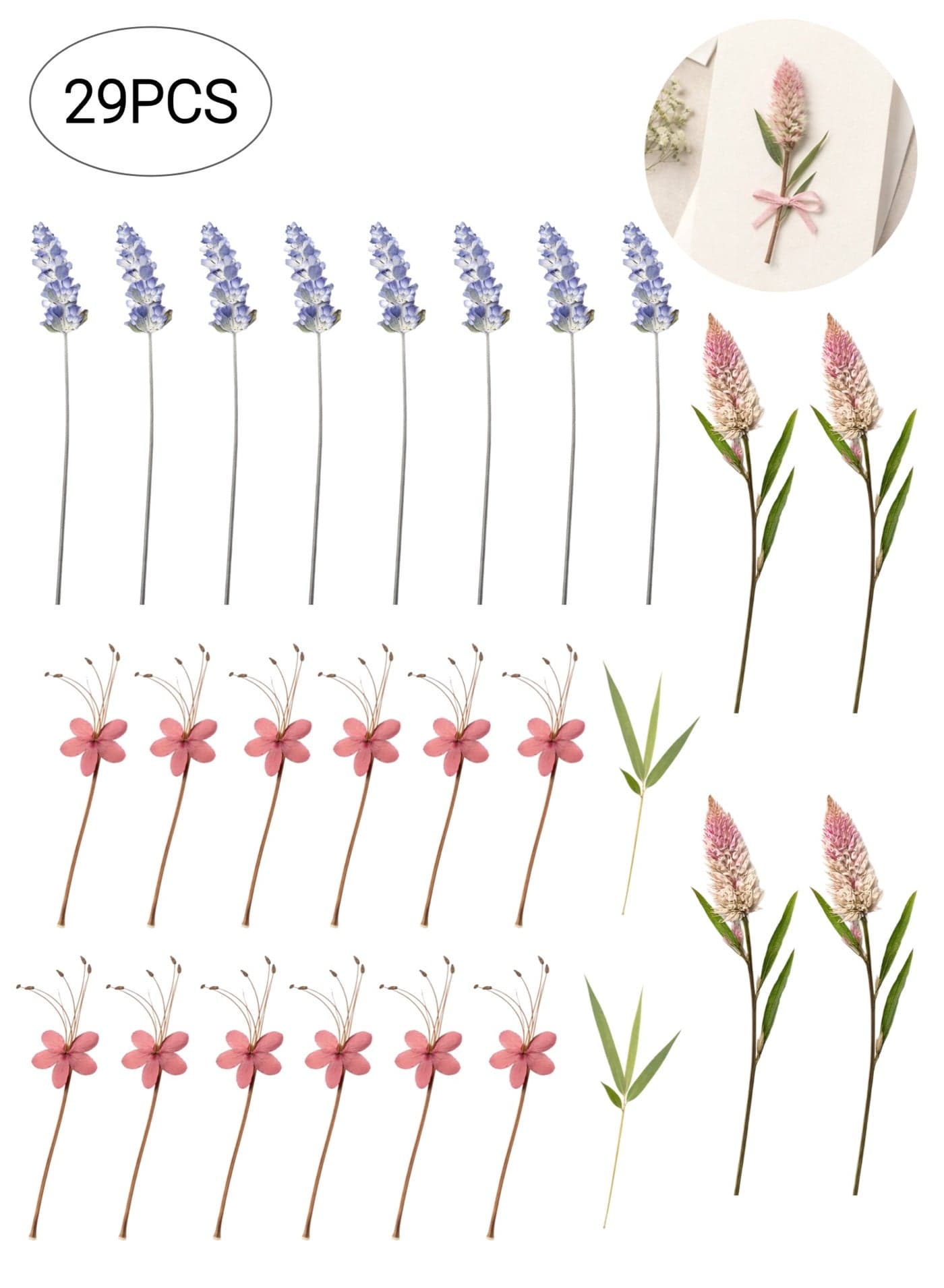 Dried Flowers Kit Natural Pressed Flowers DIY Craft Kit for Bookmark Card Scrapbooking Decoration