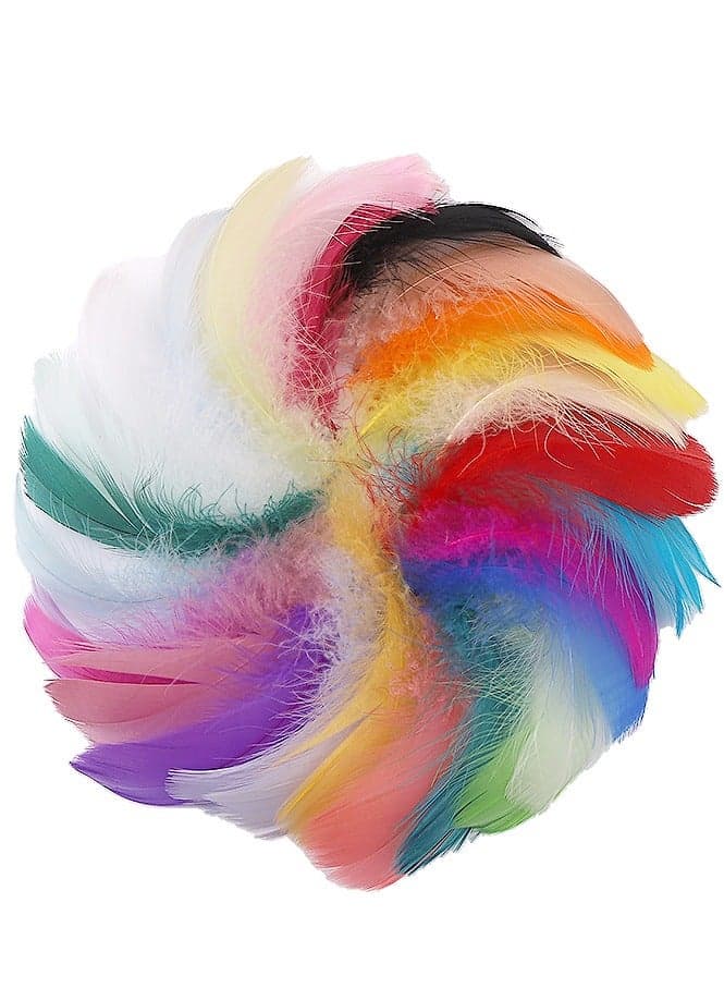 300pcs Colorful Goose Feathers in Bulk 3-6 inch for DIY Dream Catcher Accessories Wedding Party Decoration 10Colors