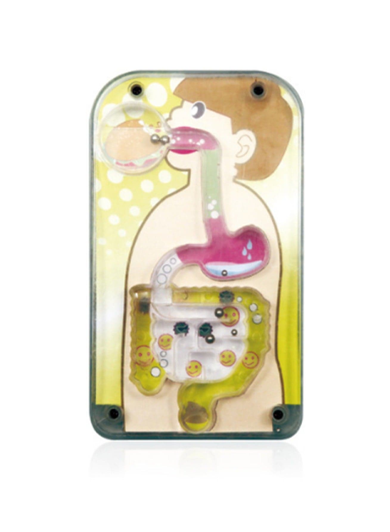 Maze Model Of The Body. Human Body Assembly For Children. Torso Model With Detachable Parts. Medical Education Science Set For Preschool And School