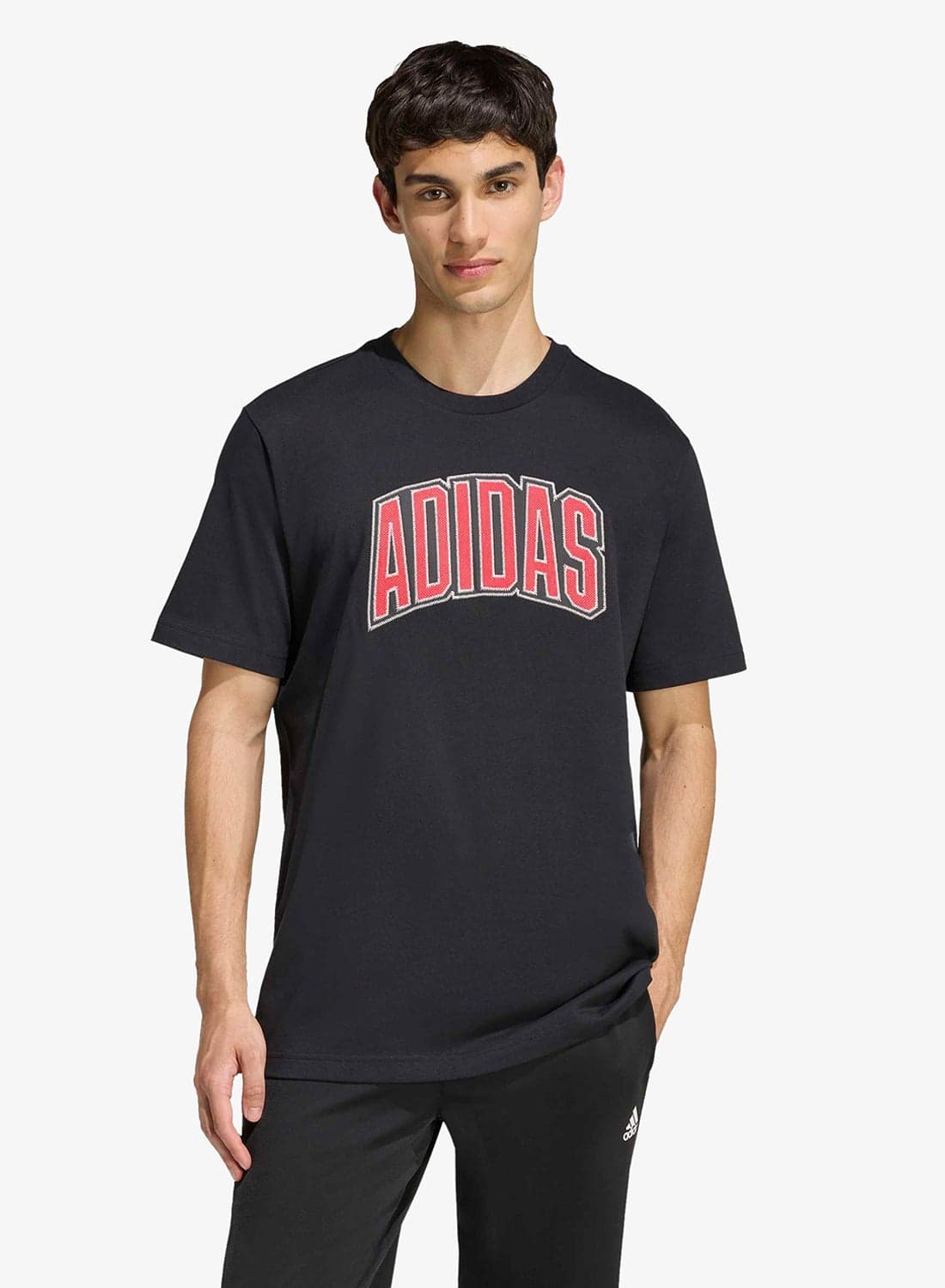 Stadium Collegiate Graphic T-Shirt