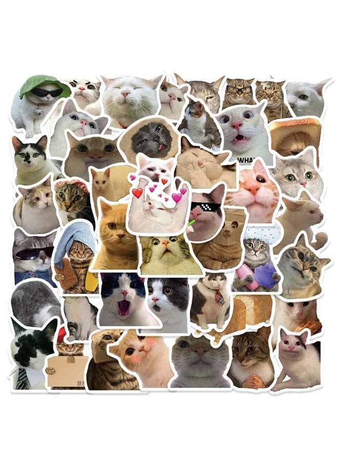 50-Piece Self Adhesive Vinyl Sticker Decal Graffiti Funny Cat Stickers Set For Laptop Water Bottle Hard Hat Skateboard Adults Kids Teens Girls Boys