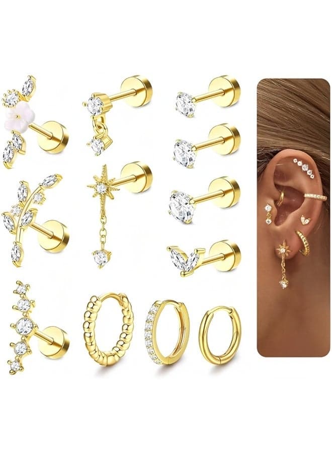 12 Pieces Helix Piercings Surgical Steel Earrings Gold Piercing Stud Earrings Set Tragus Piercing Silver Hypoallergenic Rook Daith Conch Cartilage Ear Piercing Helix Piercings Ear Jewellery