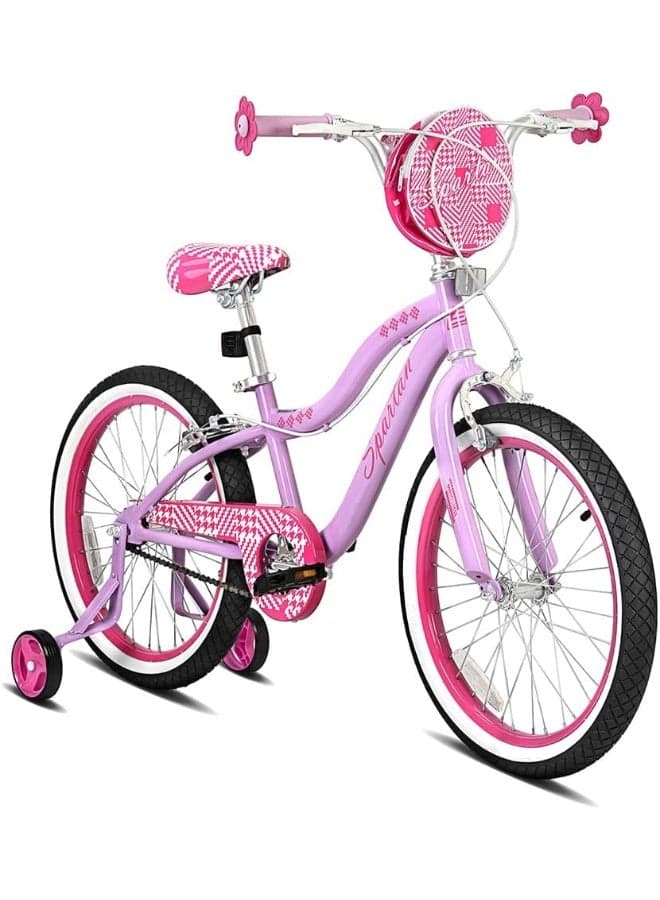 Serena Bike | 20 Inch With Training Wheels | Single Speed | Purple Color
