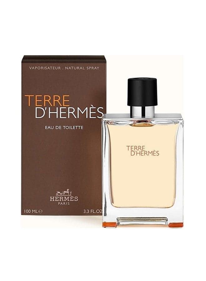 Terre D'Hermes EDT 100ml