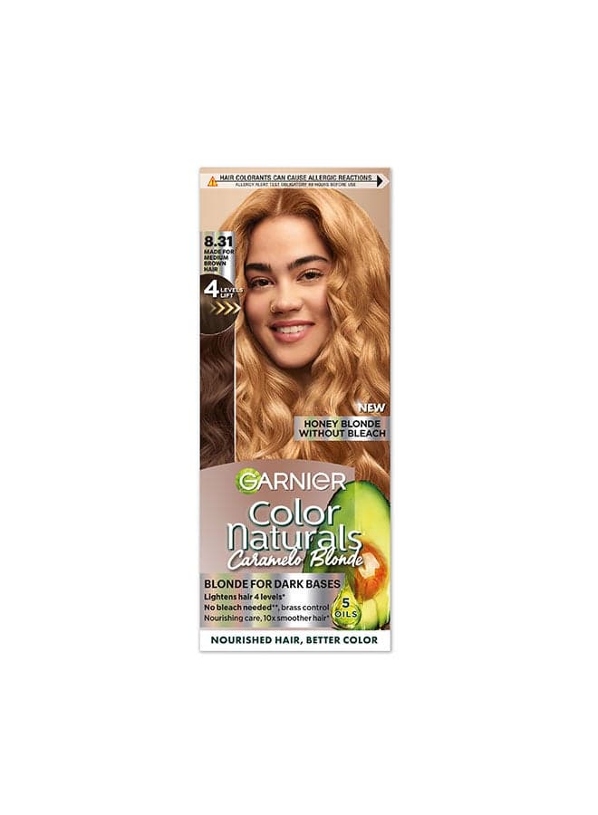 Garnier Color Naturals Caramelo Blonde Honey Blonde 8.31 Blonde for Dark Bases