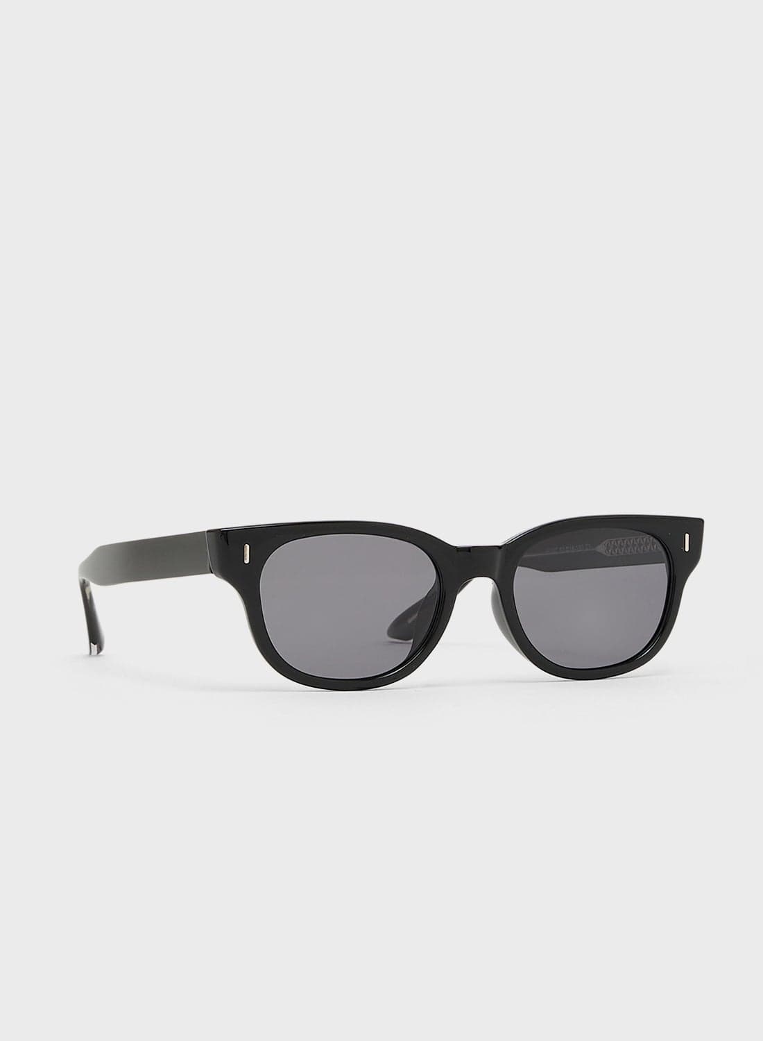 Polarized Lens Wayfarer Sunglasses