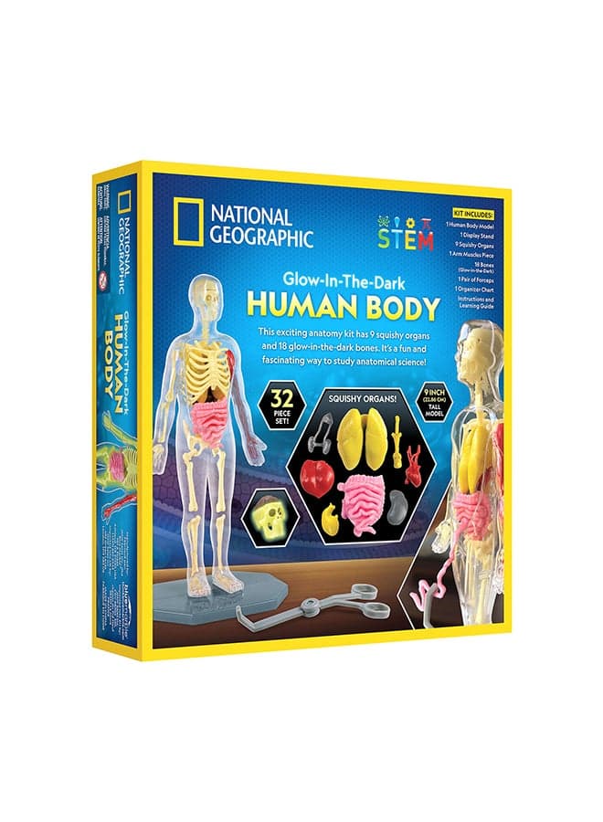 Blue Marble Glow-In-The-Dark Human Body