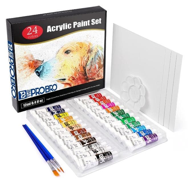 THE PRO BRO Acrylic Paint Set, 24 Vivid Colors (12ml) – Non-Toxic Rich Pigment Paints for Canvas, Wood, Rock & Ceramic – Art Supplies for Kids, Students & Professional Artists