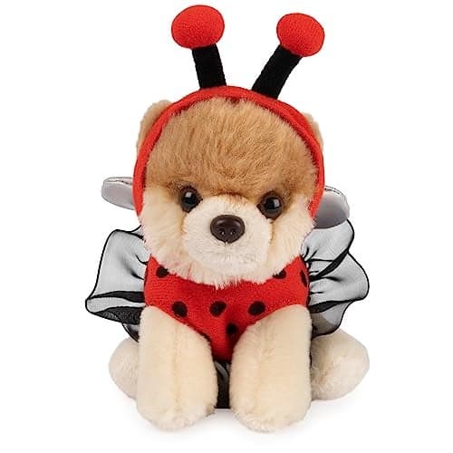 GUND Boo The Worlds Cutest Dog Ladybug Plush Pomeranian Stuffed Animal for Ages 1 and Up 5
