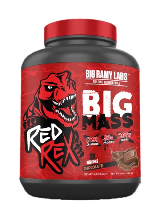 Big Mass Gainer Powder - Chocolate Flavor - 6lb (2.72kg) - for Muscle Growth & Recovery
