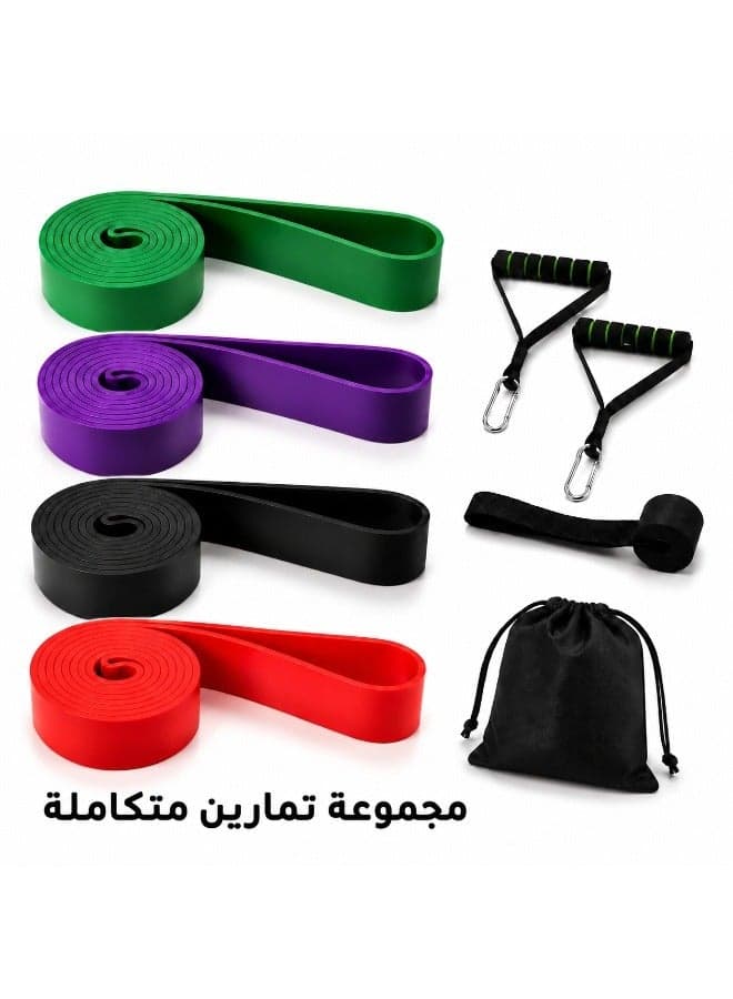 Resistance Bands Set for Home Gym, 4 Resistance Levels with Handles, Door Anchor & Carry Bag for Full Body & Glute Training