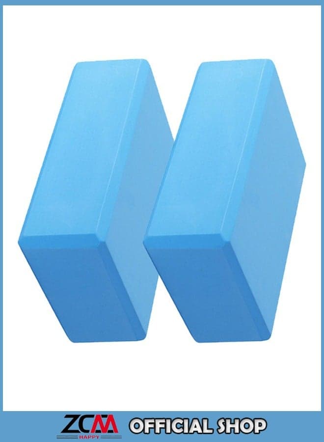 2 Piece Yoga Block Props Brick