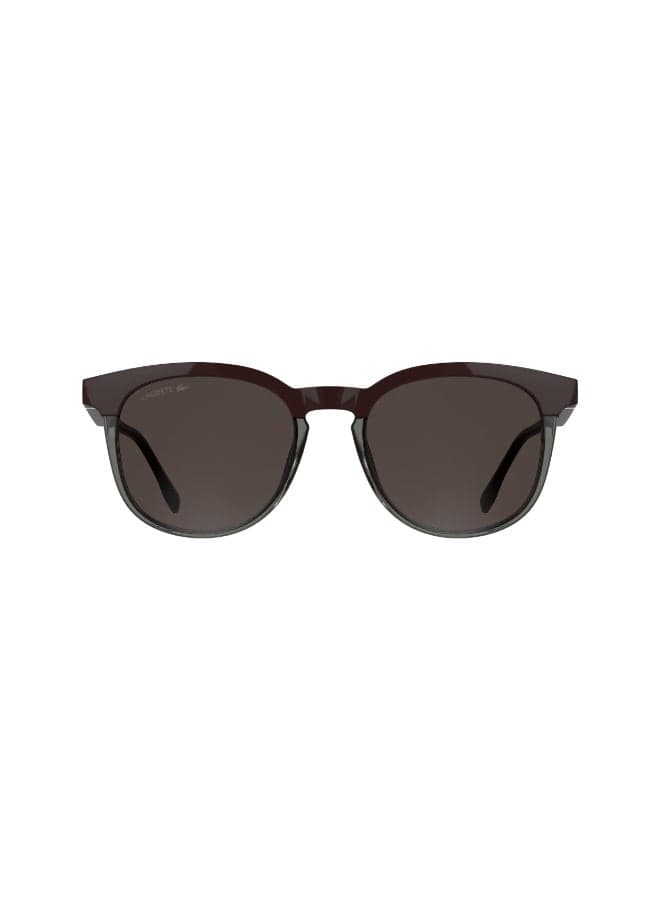 FULL RIM INJECTED LACOSTE SUNS L6073S 5219 (601) BURGUNDY/ TRANSPARENT GREY