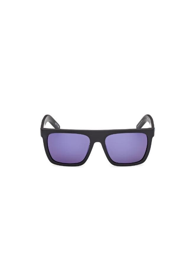 wayfarers sunglasses