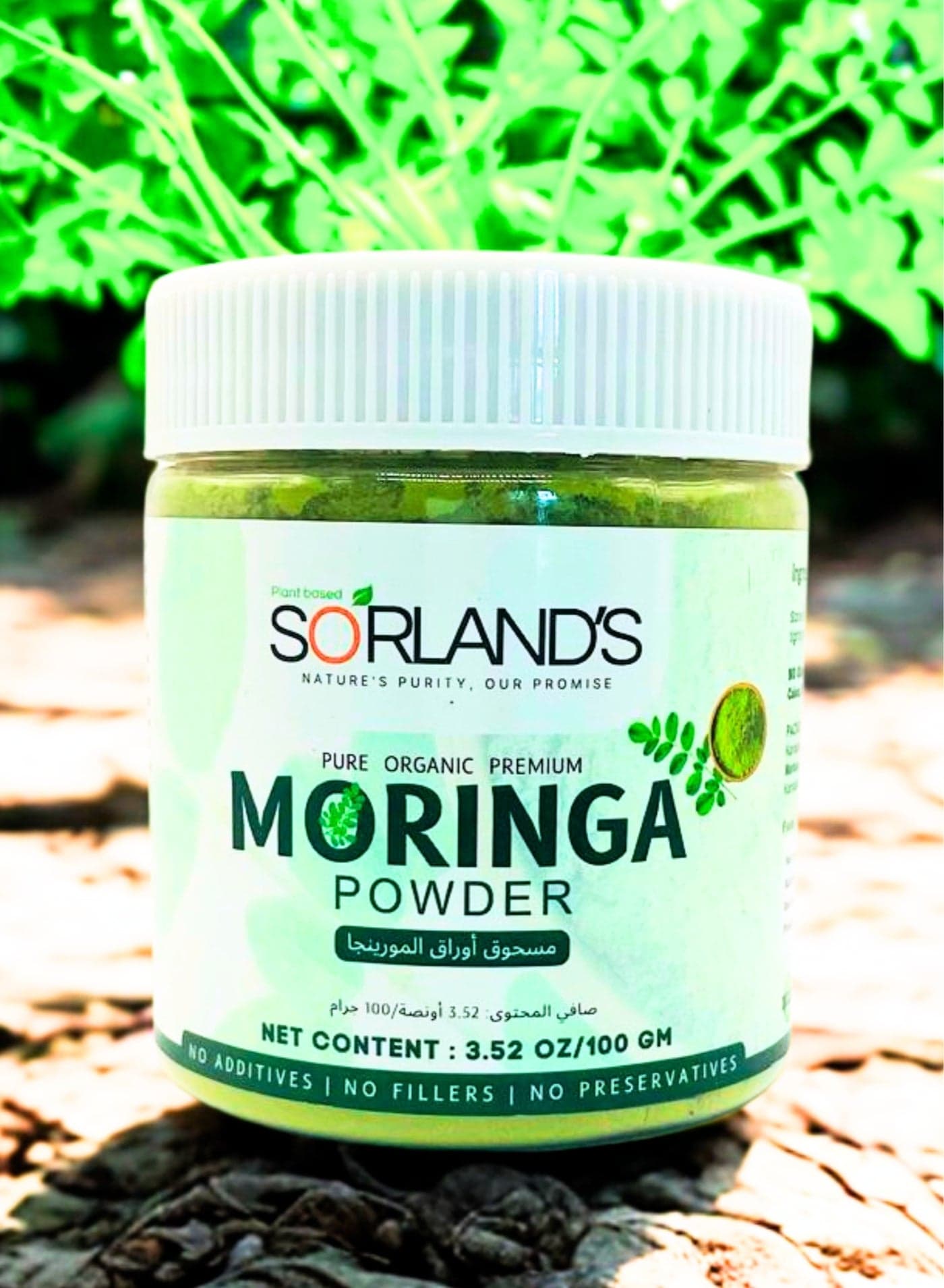 Pure Organic Moringa Leaves Powder Jar(100G) Nutrient-rich superfood, packed with natural vitamins, minerals, protein, and essential amino acids | Non-GMO, 100% natural, and certified organic