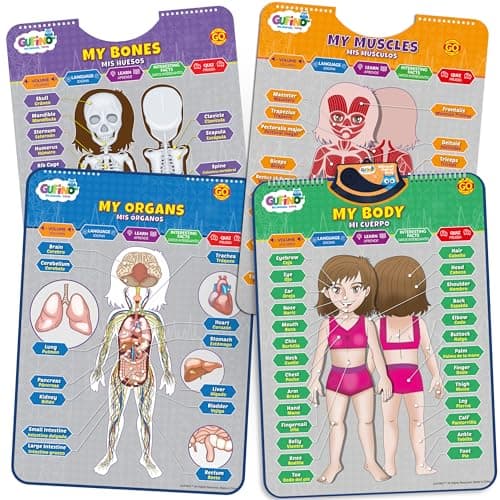 Bilingual Human Body Model for Kids Interactive Human Anatomy for Kids with Games Quizzes Educational Posters for Learning Body Parts Bones Organs English and Spanish for Kids
