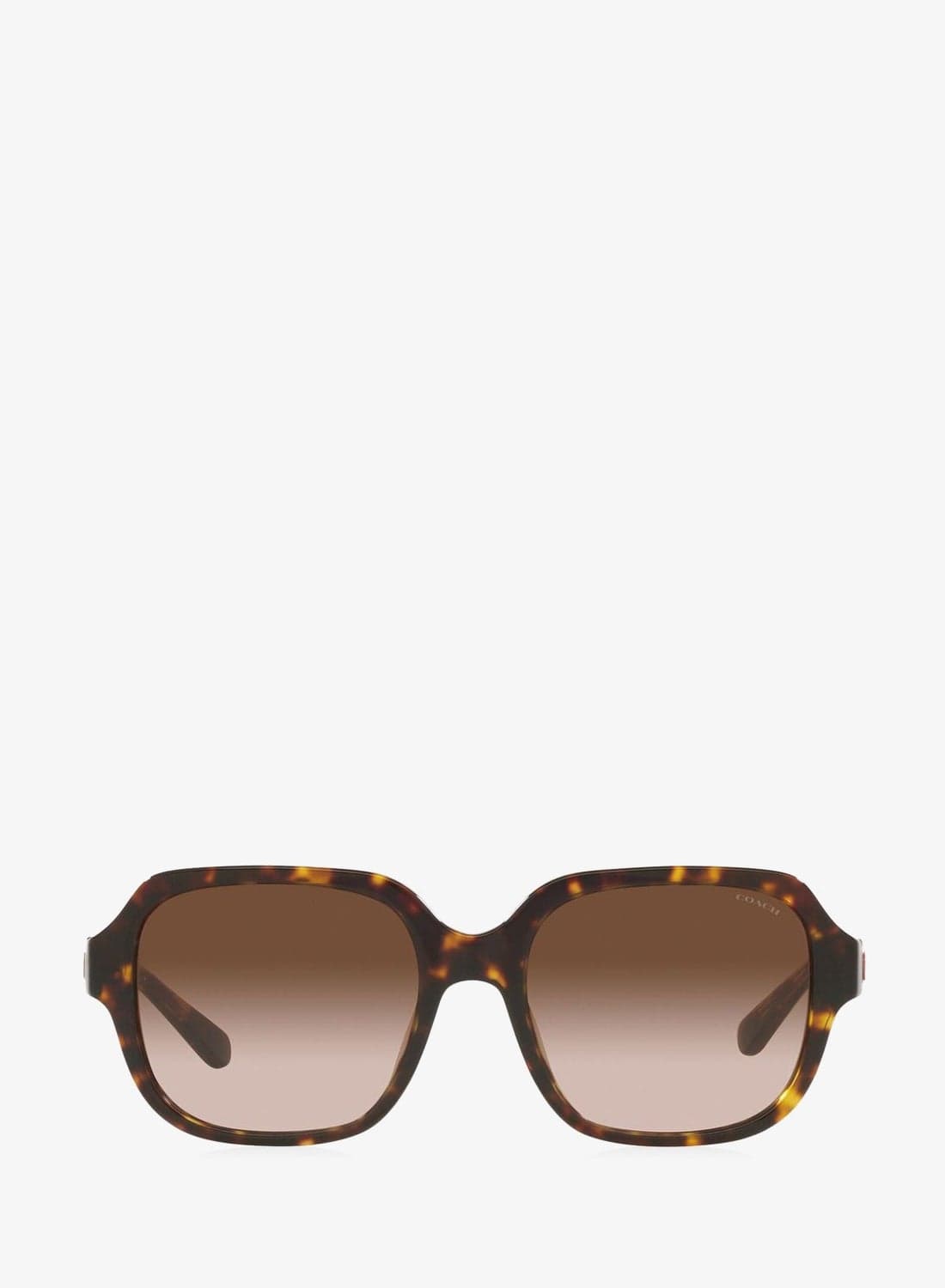 0Hc8335U Oversized Sunglasses