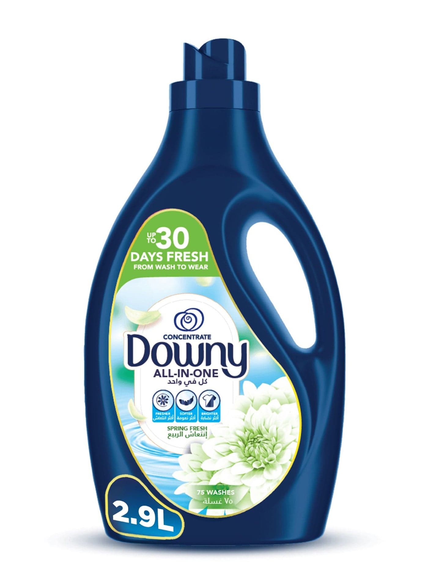 Spring Fresh All-in-One Concentrate Fabric Softener