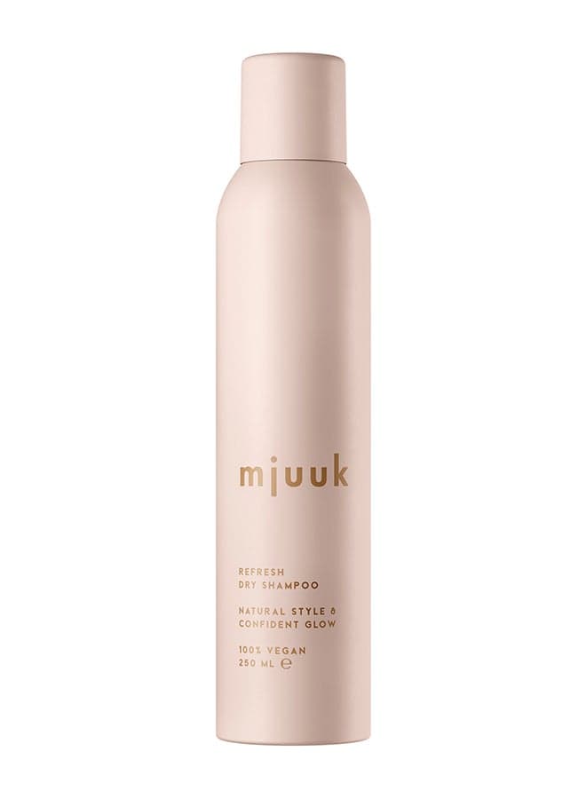 Refresh Dry Shampoo 250ml – Oil-Absorbing Dry Shampoo for Fresh Hair, Volume & Clean Scalp Feel