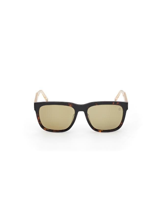 wayfarers sunglasses