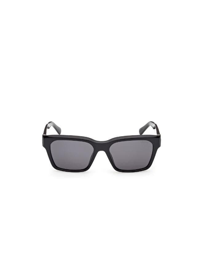 wayfarers sunglasses