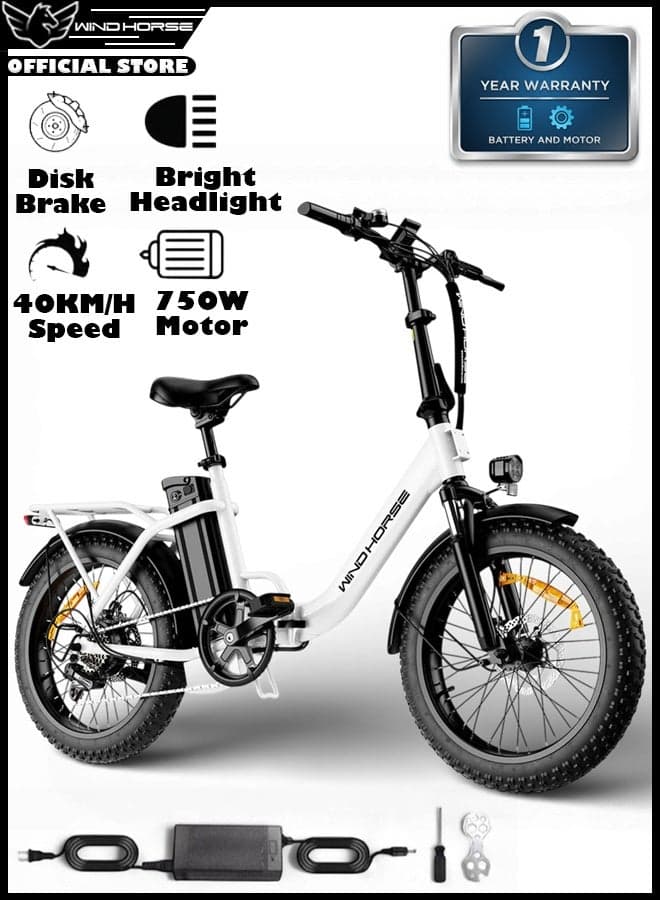 W4B Electric Folding Off-Road Bike 750W, 48V 15.6Ah Removable Battery, 40km/h Speed, 45-60km Range, Big LCD Display, 20 Inches Fat Tires, Shimano 7-Speed, Carbon Alloy Frame