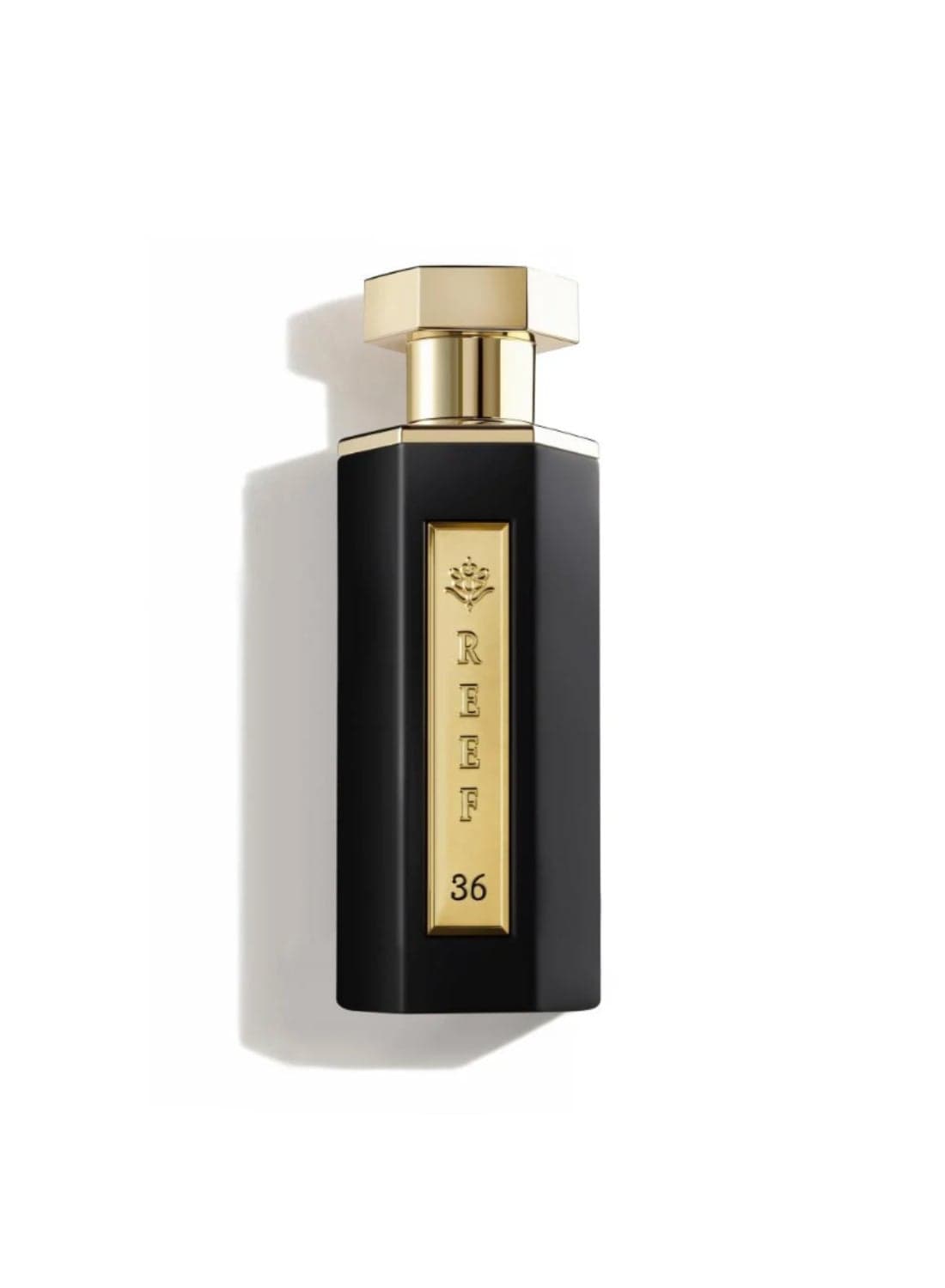 REEF 36 -100 ML