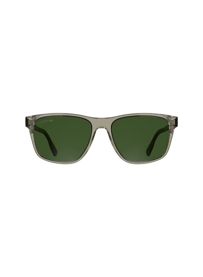 FULL RIM INJECTED LACOSTE SUNS L6078S 5618 (264) TRANSPRENT SAND