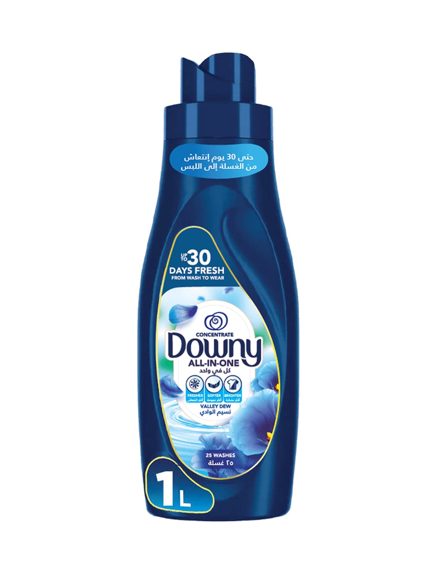 Fabric Conditioner Concentrate Valley Dew Variant