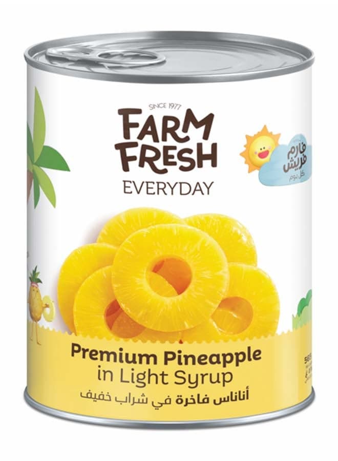 Pineapple Slices In Light Syrup