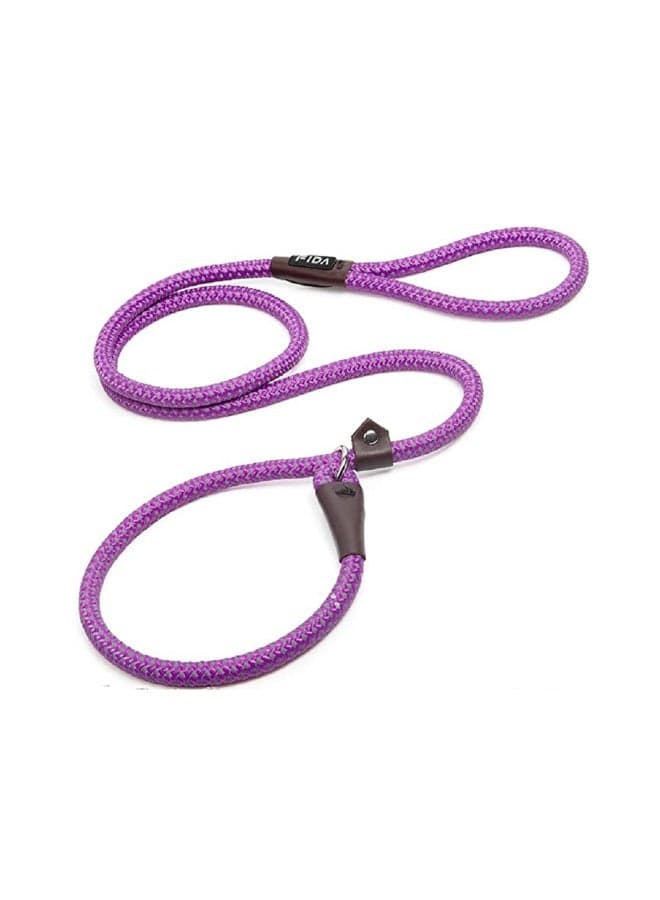 Fida Durable Slip Lead Dog Training Leash - Purple