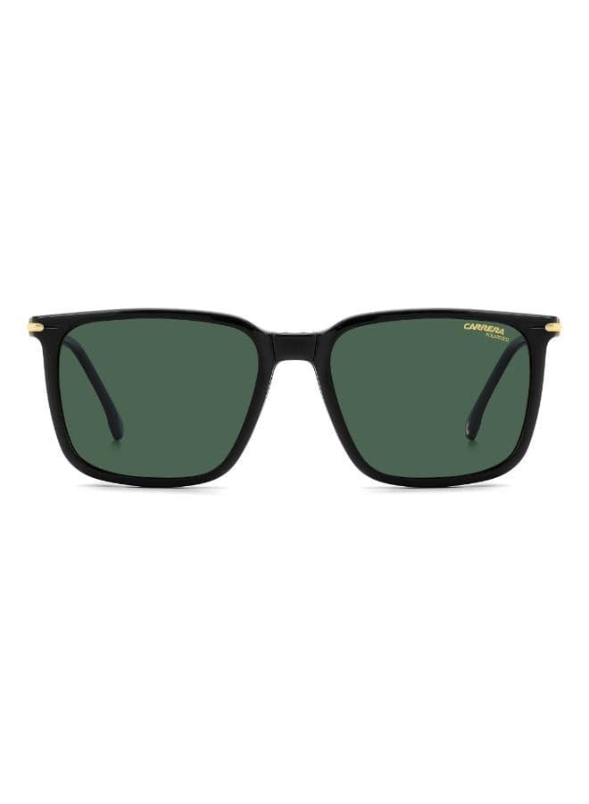 Wayfarers Sunglasses