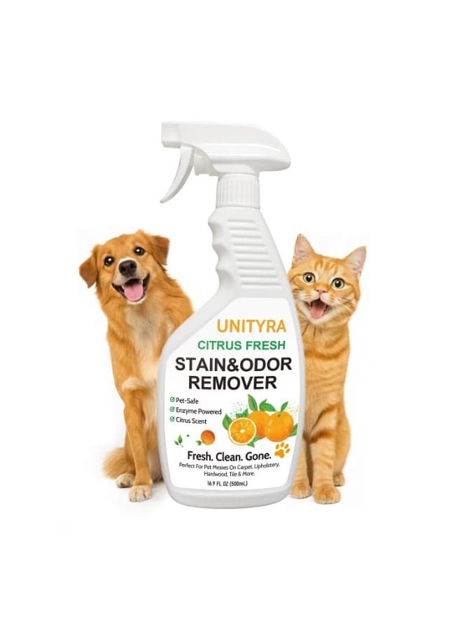 Pet Deodorizer Spray – Citrus Scent Stain & Odor Eliminator for Dogs & Cats | Removes Urine, Pee & Litter Box Smell | Pet Stain & Odor Remover for Home floor, Carpet, Furniture & Kennels 500ml