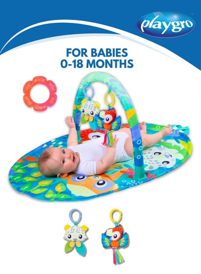 Playgro Mighty Milestones Play Gym - Baby's 1-12 Month Milestones Celebration, Sensory Exploration with Various Textures, Crinkling Bird Toy, Large Activity Floor Play - Neutral Colors