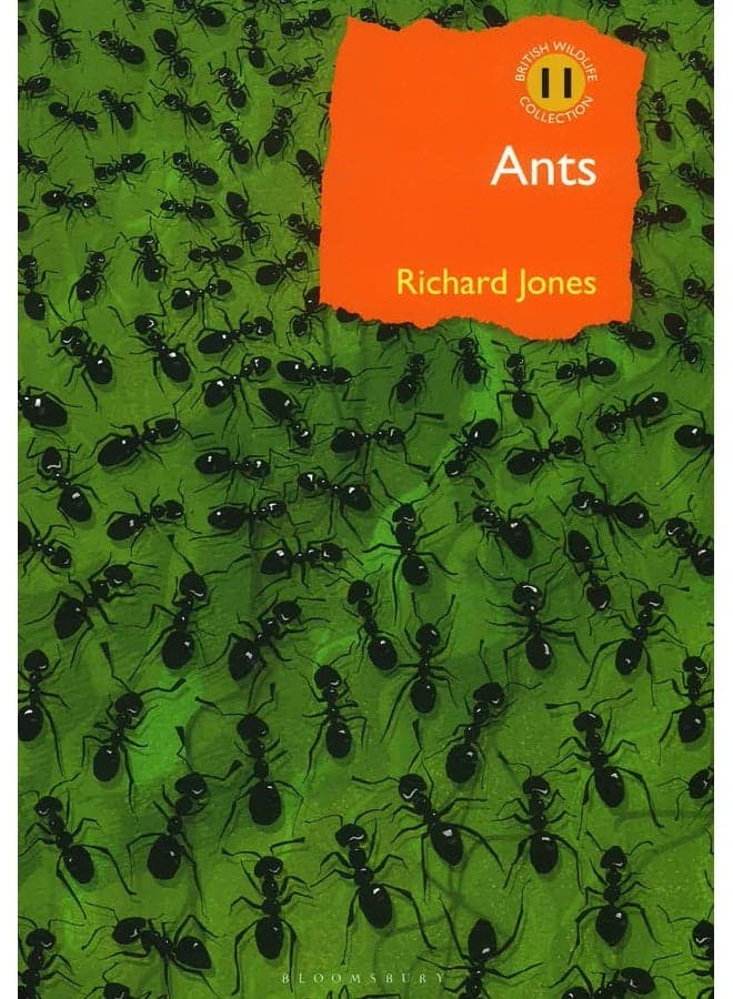 Ants
