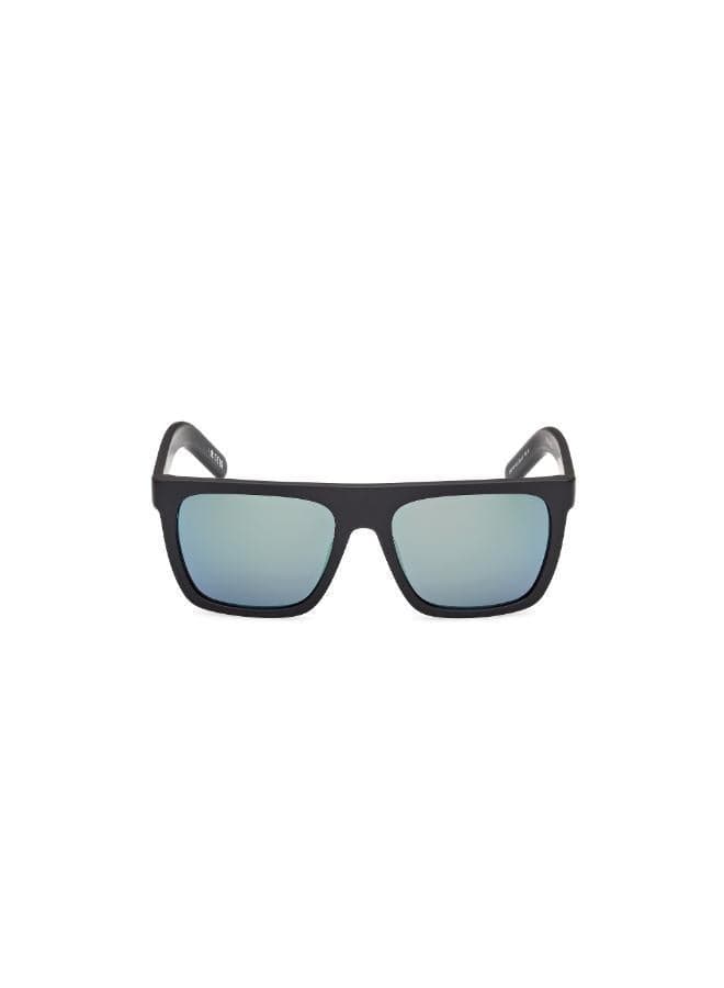 wayfarers sunglasses