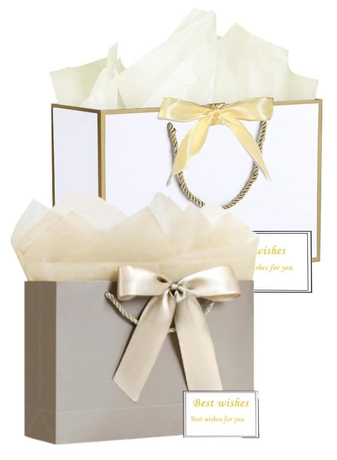 2-Pack Gift Bags, Present Bags with Elegant Black Ribbon Bow, Handles, Tissue Paper & Greeting Cards for Birthdays, Weddings & Parties
