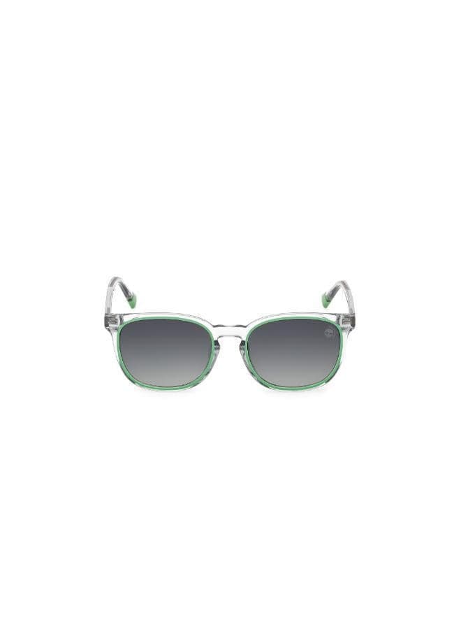Wayfarers Sunglasses