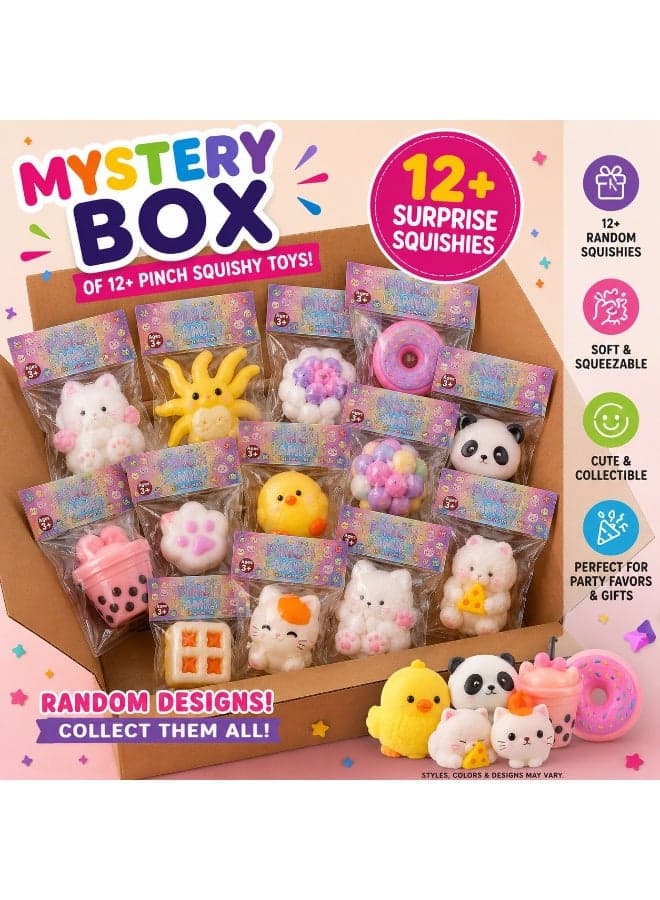 Mystery Box with 12+ Random Pinch Squishy Toys | Soft Squeeze Sensory Fidget Toy Set | Cute Animal & Food Designs | Party Favors, Birthday Gifts & Collectibles | Ages 3+