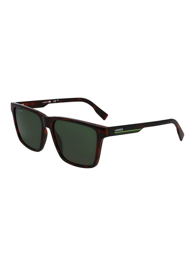 Full Rim Injected Lacoste Suns L6039S N 5716 (214) Havana