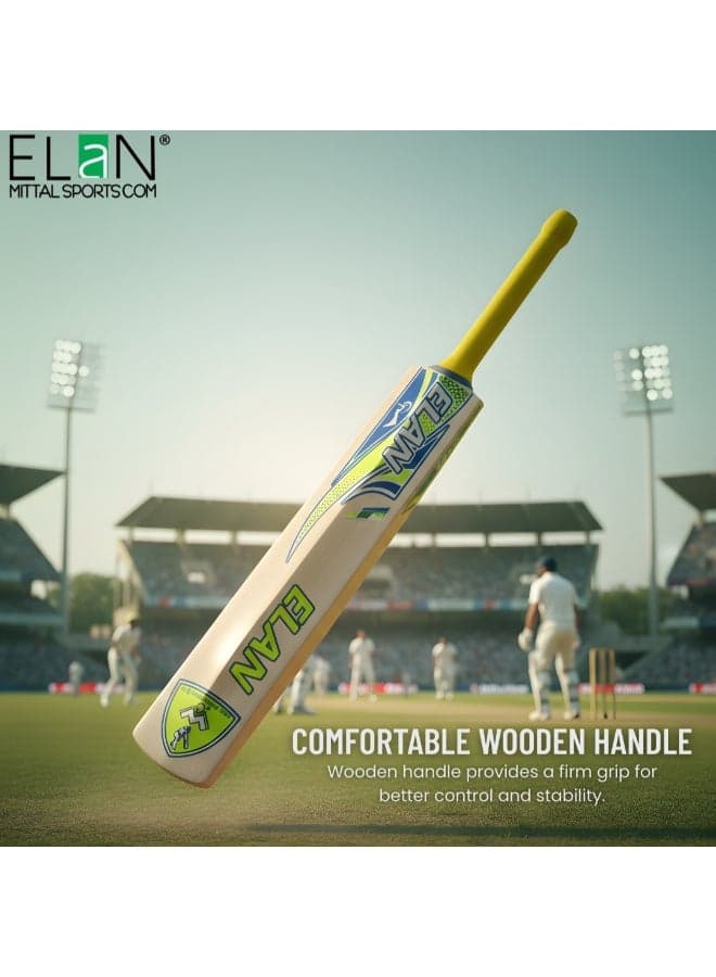 Elan Junior Wooden Cricket Bat – Lightweight Youth Cricket Bat for Kids, Durable Wood Blade with Comfortable Grip for Training and Match Play with Soft Balls