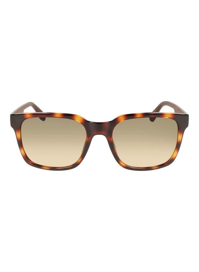 Men Full Rim Injected Modified Rectangle Sunglasses L967S 5519 (230) Havana