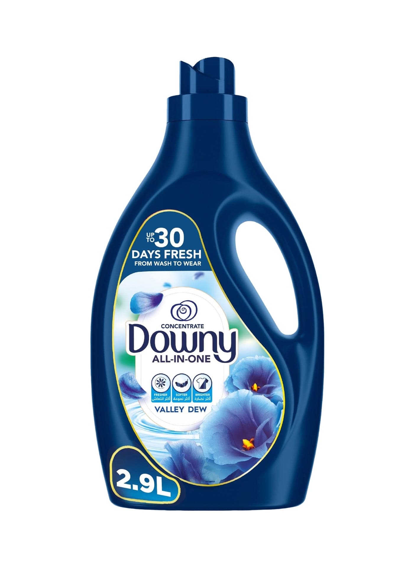 Downy Concentrate All in One Valley Dew