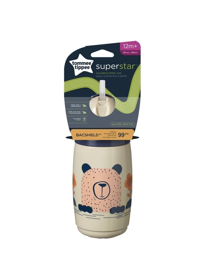 Insulated Straw Cup - Assorted