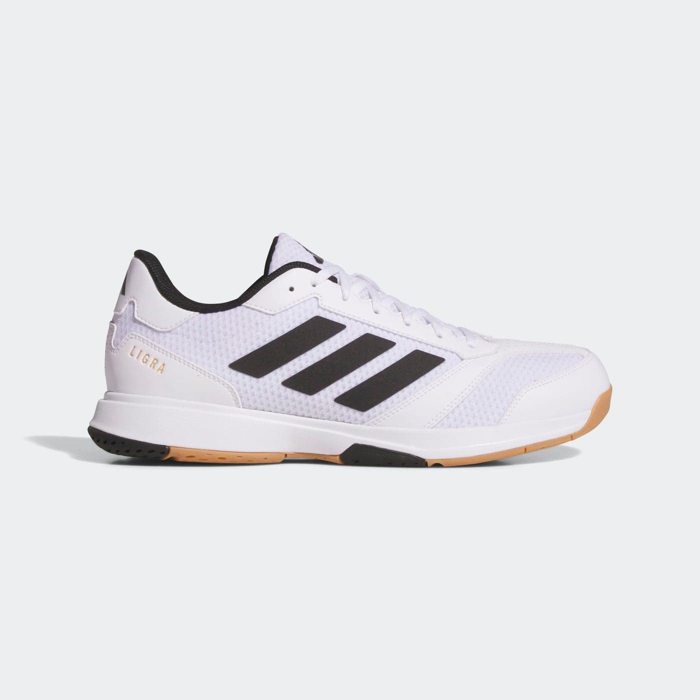 Ligra 8 Indoor Shoes