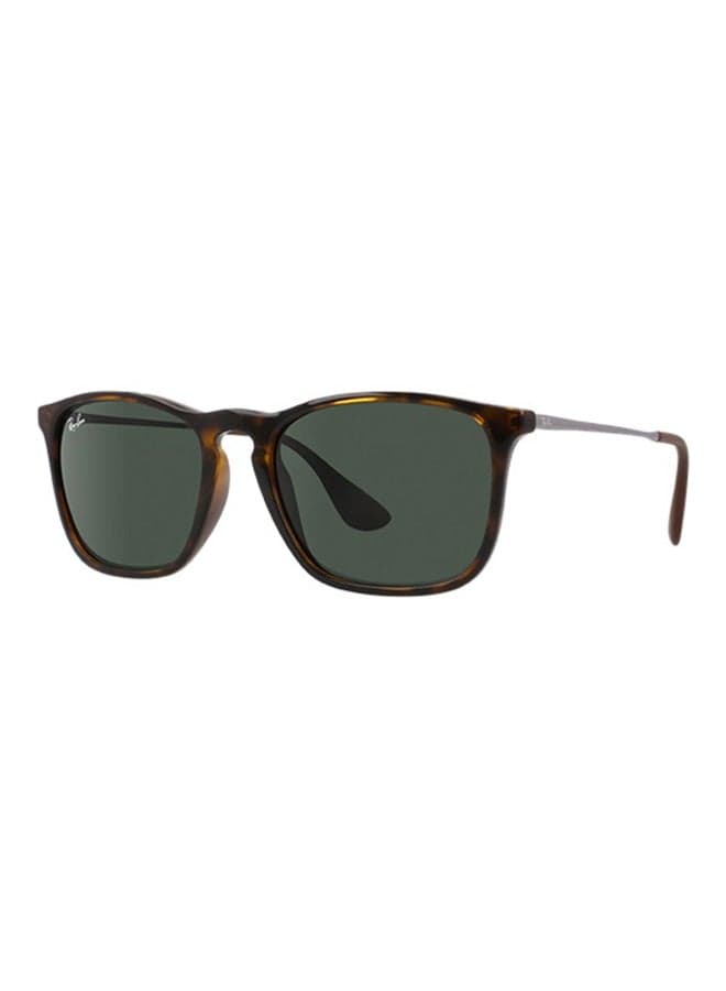 Chriss Square Sunglasses - RB4187 - Lens Size: 54 mm - Brown