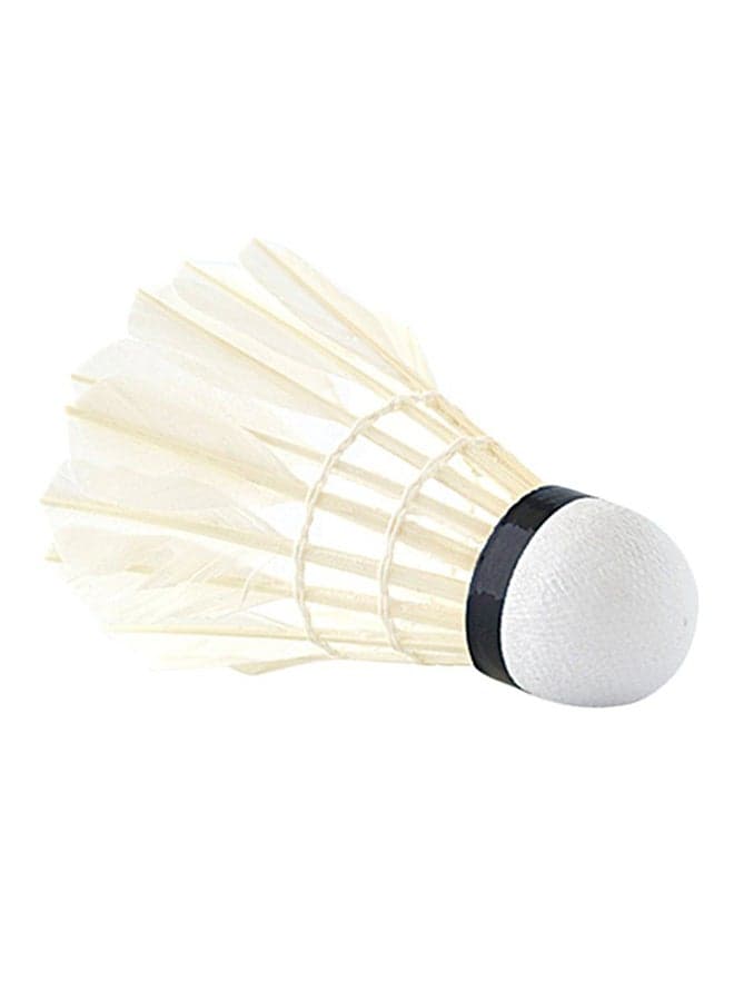 6-Piece Goose Feather Shuttlecocks