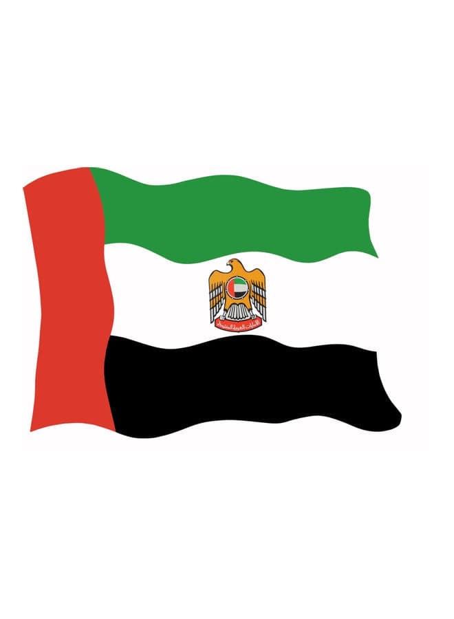 Flag Of UAE Sticker