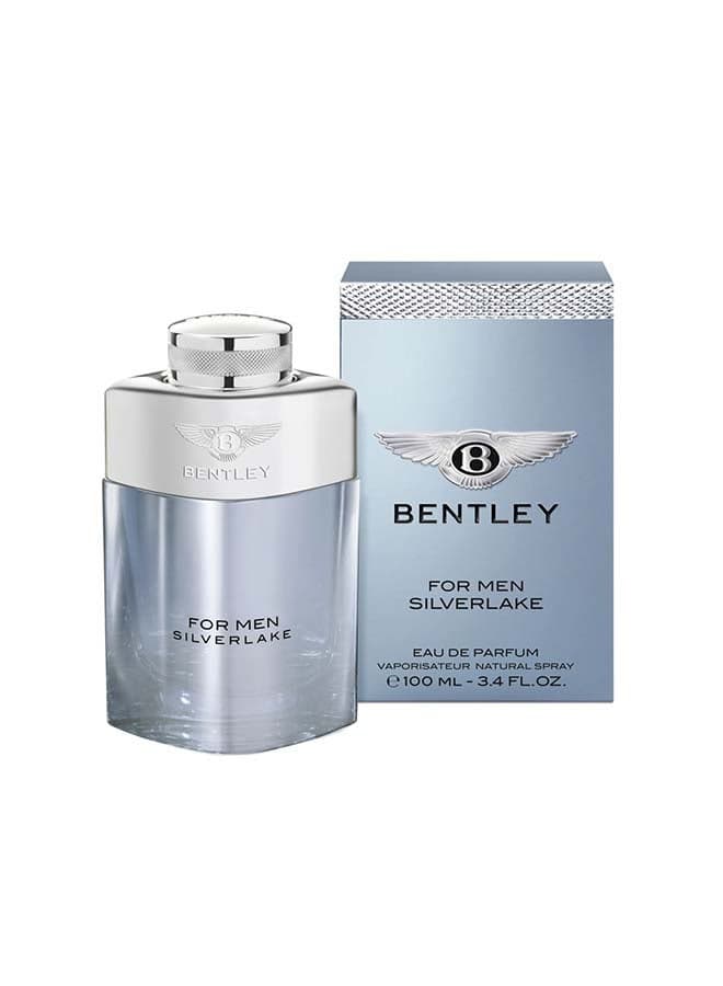 عطر سيلفرليك EDP 100ملليلتر