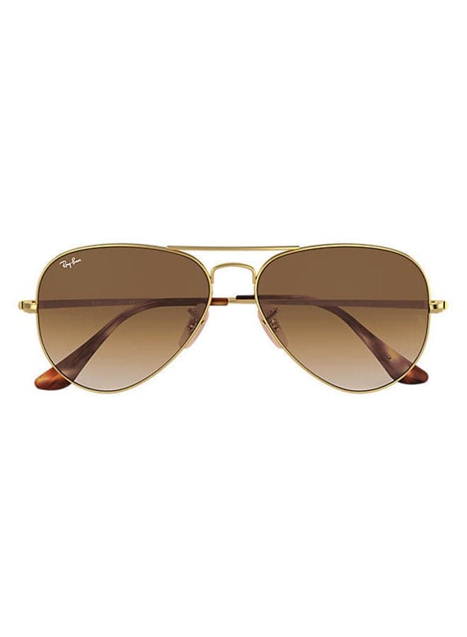 Full Rim Aviator Sunglasses - RB3689 914751 58-14 - Lens Size: 58 mm - Gold